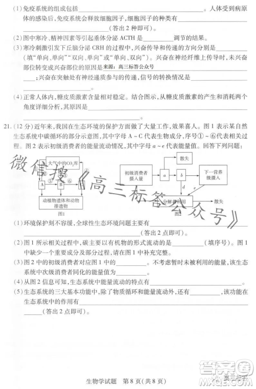 皖豫名校联盟2024届高中毕业班第一次考试生物学试卷答案