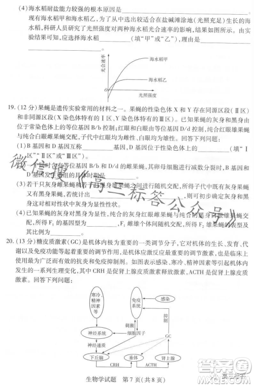 皖豫名校联盟2024届高中毕业班第一次考试生物学试卷答案