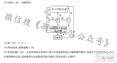 皖豫名校联盟2024届高中毕业班第一次考试生物学试卷答案