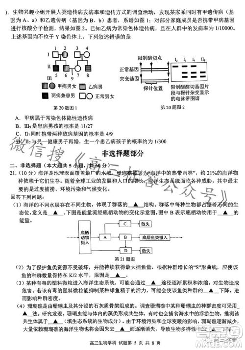 浙南名校联盟2023学年高三第一学期第一次联考生物试卷答案