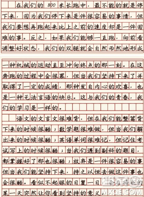 努力的日子会发光主题作文600字 关于努力的日子会发光的主题作文600字