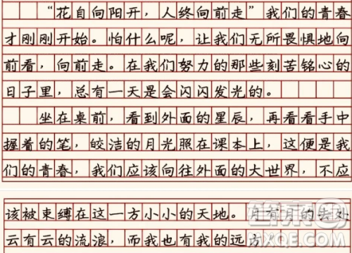 努力的日子会发光主题作文600字 关于努力的日子会发光的主题作文600字