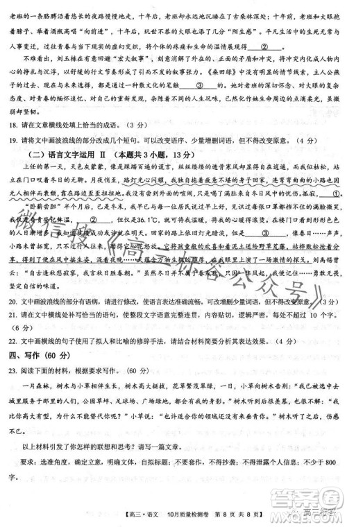 2024徽师联盟高三10月质量检测卷语文试卷答案 2024徽师联盟高三10月质量检测卷语文试卷答案