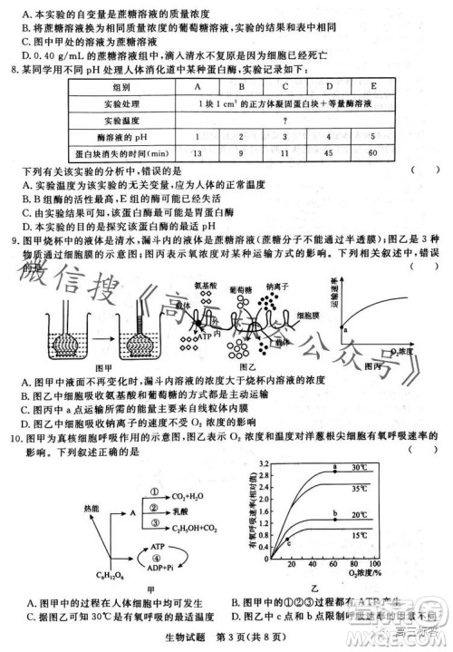 2024届普通高等学校招生全国统一考试青桐鸣高三10月大联考生物试卷答案