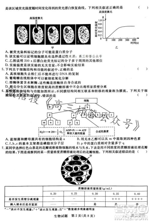 2024届普通高等学校招生全国统一考试青桐鸣高三10月大联考生物试卷答案