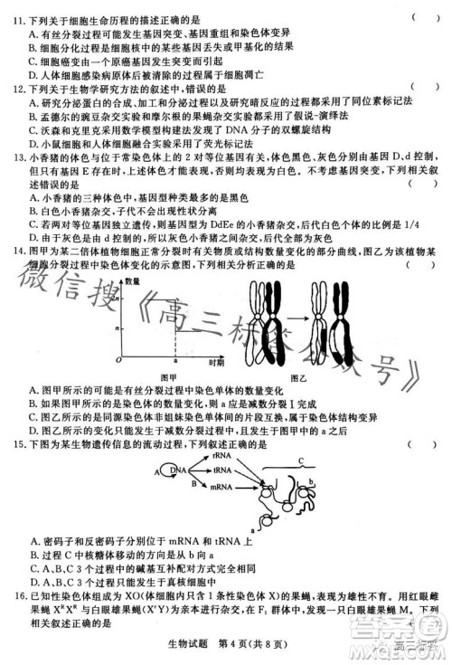 2024届普通高等学校招生全国统一考试青桐鸣高三10月大联考生物试卷答案