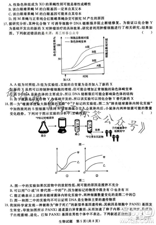 2024届普通高等学校招生全国统一考试青桐鸣高三10月大联考生物试卷答案