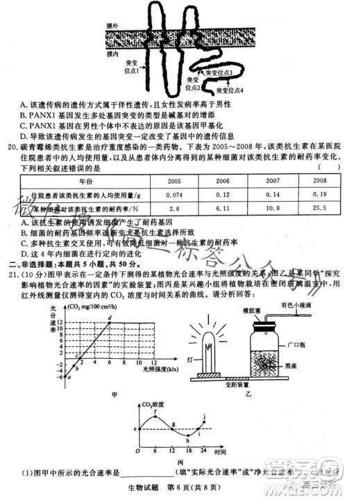 2024届普通高等学校招生全国统一考试青桐鸣高三10月大联考生物试卷答案 2024届普通高等学校招生全国统一考试青桐鸣高三10月大联考生物试卷答案