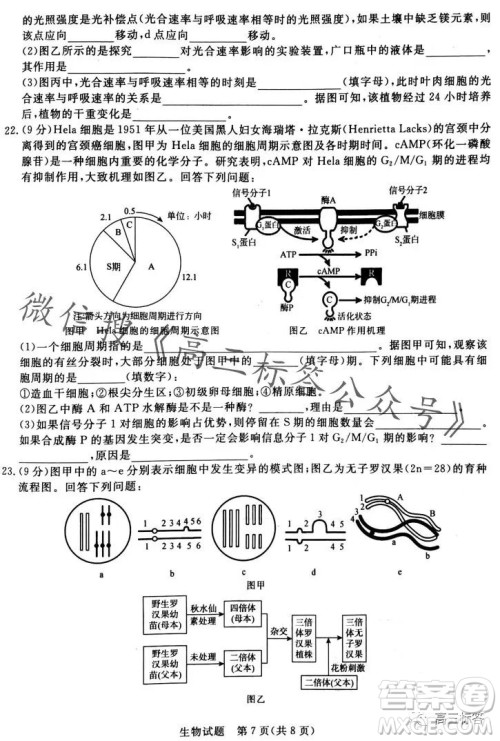 2024届普通高等学校招生全国统一考试青桐鸣高三10月大联考生物试卷答案