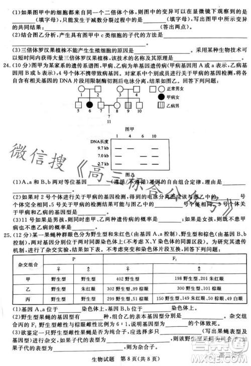 2024届普通高等学校招生全国统一考试青桐鸣高三10月大联考生物试卷答案