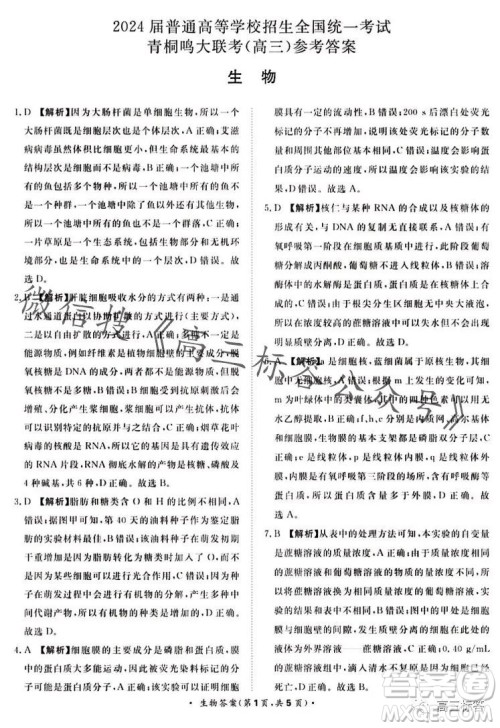 2024届普通高等学校招生全国统一考试青桐鸣高三10月大联考生物试卷答案 2024届普通高等学校招生全国统一考试青桐鸣高三10月大联考生物试卷答案