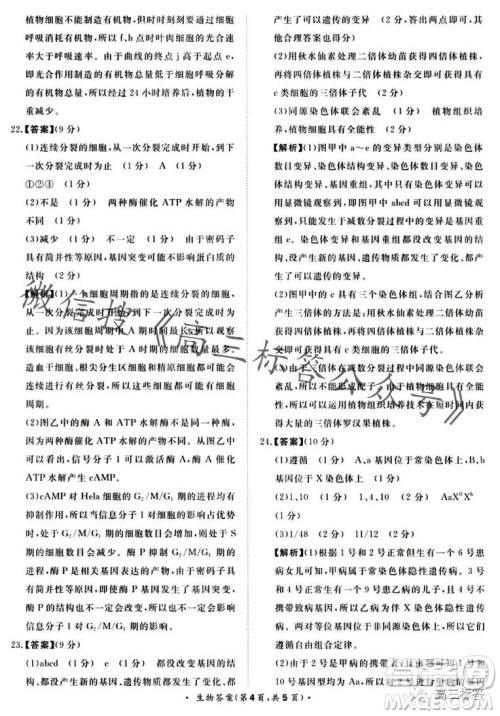 2024届普通高等学校招生全国统一考试青桐鸣高三10月大联考生物试卷答案 2024届普通高等学校招生全国统一考试青桐鸣高三10月大联考生物试卷答案