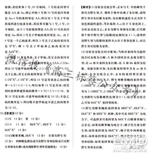 2024届普通高等学校招生全国统一考试青桐鸣高三10月大联考生物试卷答案 2024届普通高等学校招生全国统一考试青桐鸣高三10月大联考生物试卷答案