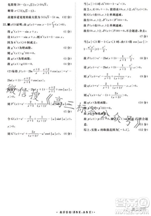 2024届普通高等学校招生全国统一考试青桐鸣高三10月大联考数学试卷答案