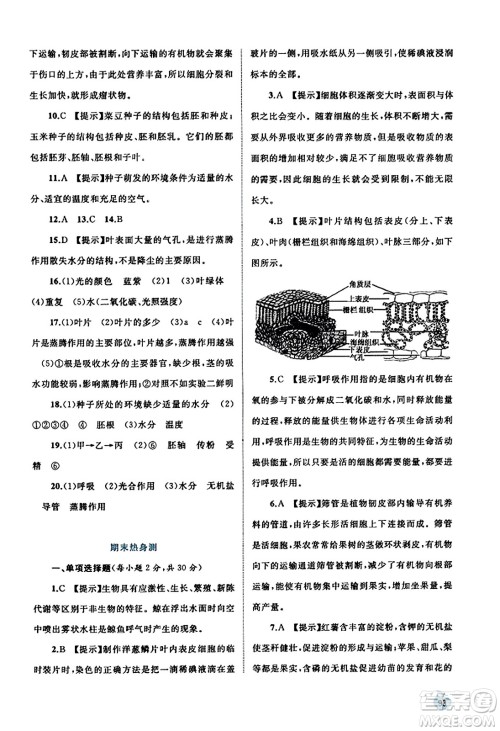 广西教育出版社2023年秋新课程学习与测评同步学习七年级生物上册北师大版答案 广西教育出版社2023年秋新课程学习与测评同步学习七年级生物上册北师大版答案