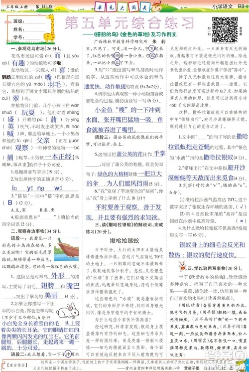2023年秋少年智力开发报三年级语文上册人教版第9-12期答案 2023年秋少年智力开发报三年级语文上册人教版第9-12期答案