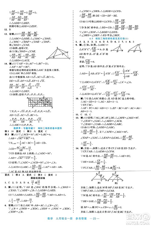 浙江工商大学出版社2023年秋精彩练习就练这一本九年级数学全一册通用版答案