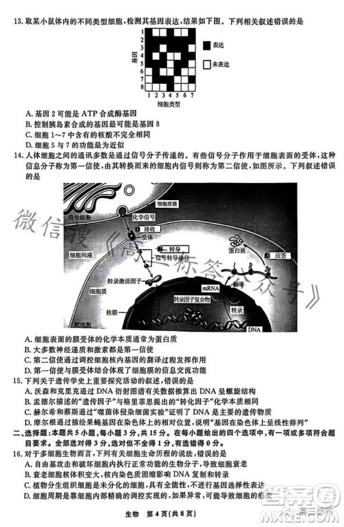 辽宁省名校联盟2023年高三10月份联合考试生物试卷答案