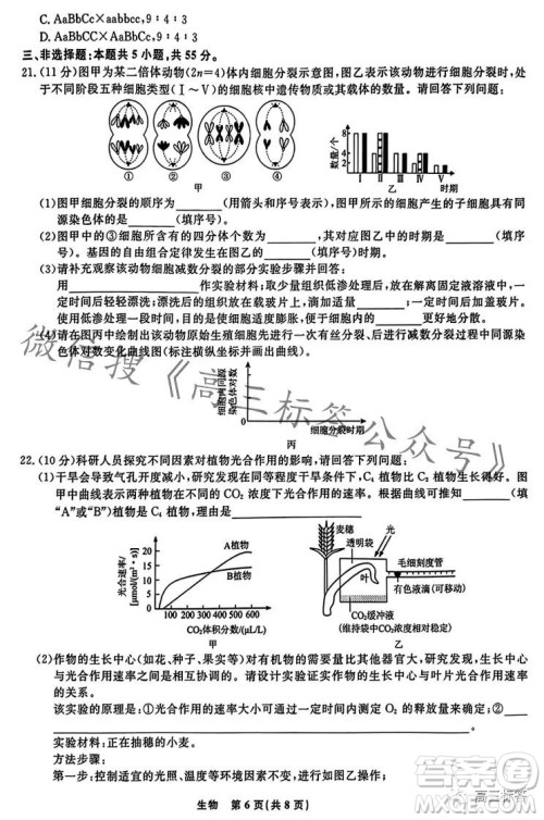 辽宁省名校联盟2023年高三10月份联合考试生物试卷答案