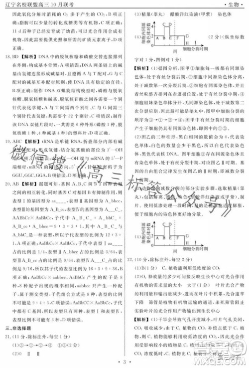 辽宁省名校联盟2023年高三10月份联合考试生物试卷答案