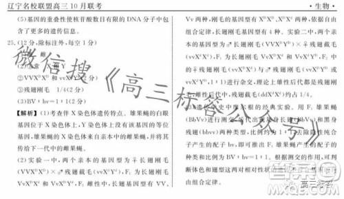 辽宁省名校联盟2023年高三10月份联合考试生物试卷答案 辽宁省名校联盟2023年高三10月份联合考试生物试卷答案
