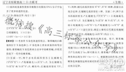 辽宁省名校联盟2023年高三10月份联合考试生物试卷答案