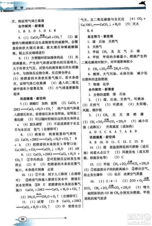 广东教育出版社2023年秋南方新课堂金牌学案九年级化学上册科粤版答案