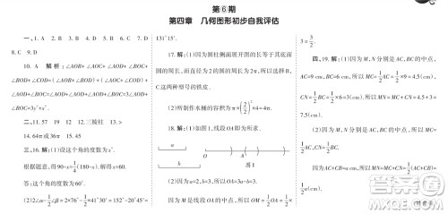 学习方法报2023-2024学年七年级数学上册人教广东版④-⑥期小报参考答案