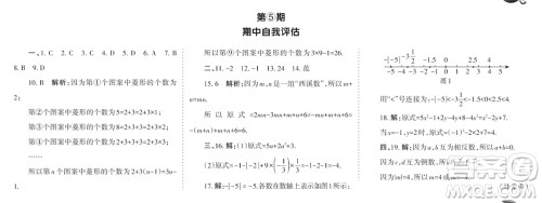 学习方法报2023-2024学年七年级数学上册北师大广东版④-⑥期小报参考答案