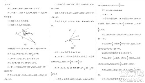 学习方法报2023-2024学年七年级数学上册北师大广东版④-⑥期小报参考答案