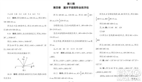 学习方法报2023-2024学年七年级数学上册北师大广东版④-⑥期小报参考答案