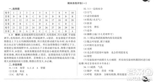 学习方法报2023-2024学年七年级生物上册人教广东版④-⑥期小报参考答案