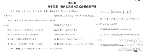 学习方法报2023-2024学年八年级数学上册人教广东版④-⑥期小报参考答案 学习方法报2023-2024学年八年级数学上册人教广东版④-⑥期小报参考答案