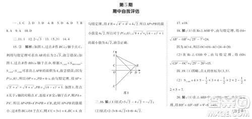 学习方法报2023-2024学年八年级数学上册北师大广东版④-⑥期小报参考答案