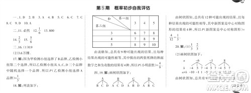 学习方法报2023-2024学年九年级数学上册人教广东版④-⑥期小报参考答案