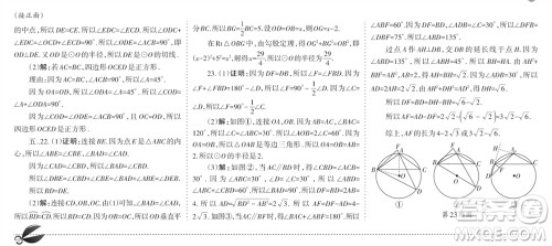 学习方法报2023-2024学年九年级数学上册人教广东版④-⑥期小报参考答案