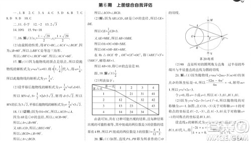 学习方法报2023-2024学年九年级数学上册人教广东版④-⑥期小报参考答案