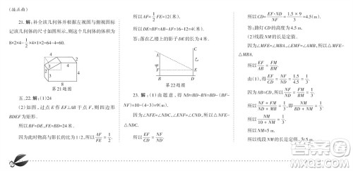 学习方法报2023-2024学年九年级数学上册北师大广东版④-⑥期小报参考答案