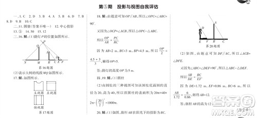 学习方法报2023-2024学年九年级数学上册北师大广东版④-⑥期小报参考答案