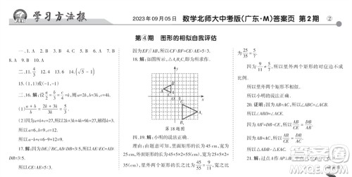 学习方法报2023-2024学年九年级数学上册北师大广东版④-⑥期小报参考答案