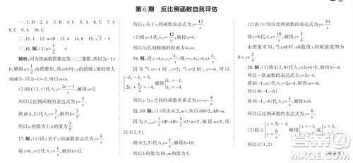 学习方法报2023-2024学年九年级数学上册北师大广东版④-⑥期小报参考答案