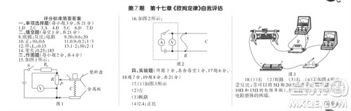 学习方法报2023-2024学年九年级物理上册人教广东版⑤-⑧期小报参考答案