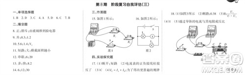 学习方法报2023-2024学年九年级物理上册粤沪广东版⑤-⑧期小报参考答案