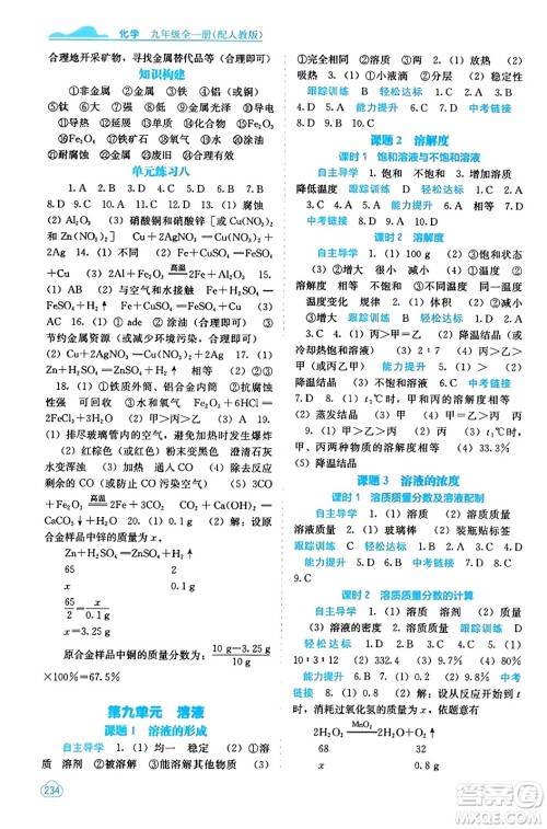 广西教育出版社2023年秋自主学习能力测评九年级化学上册人教版答案