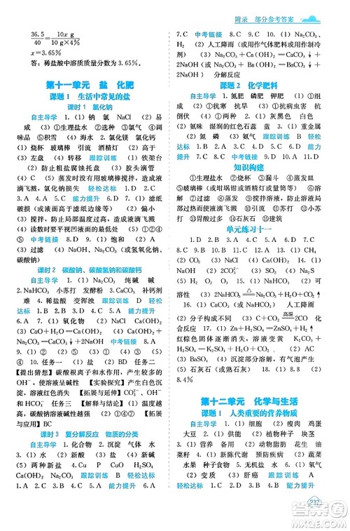 广西教育出版社2023年秋自主学习能力测评九年级化学上册人教版答案 广西教育出版社2023年秋自主学习能力测评九年级化学上册人教版答案