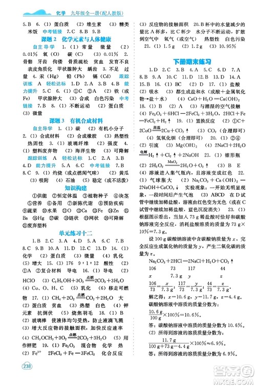 广西教育出版社2023年秋自主学习能力测评九年级化学上册人教版答案 广西教育出版社2023年秋自主学习能力测评九年级化学上册人教版答案