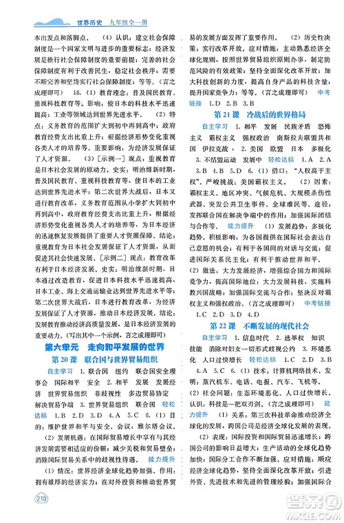 广西教育出版社2023年秋自主学习能力测评九年级世界历史全一册人教版答案