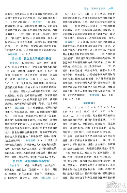 广西教育出版社2023年秋自主学习能力测评九年级世界历史全一册人教版答案