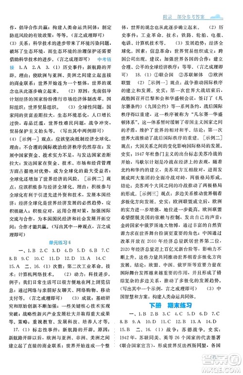 广西教育出版社2023年秋自主学习能力测评九年级世界历史全一册人教版答案