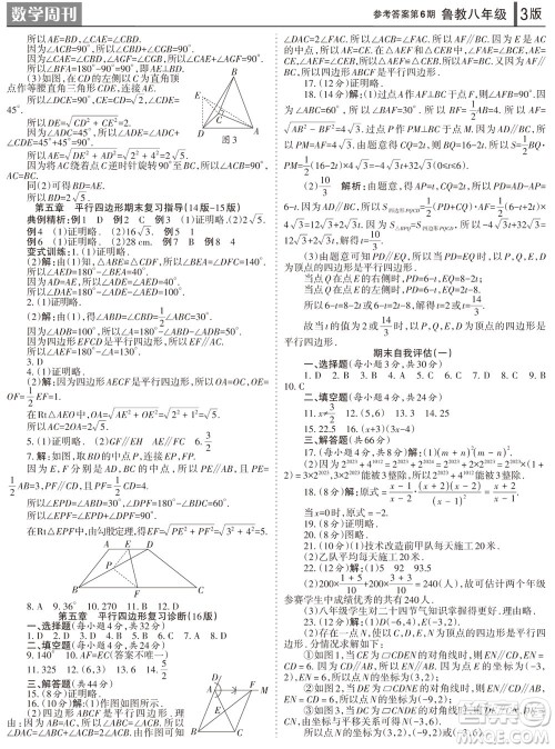 2023年秋学习方法报数学周刊八年级上册鲁教版第6期参考答案